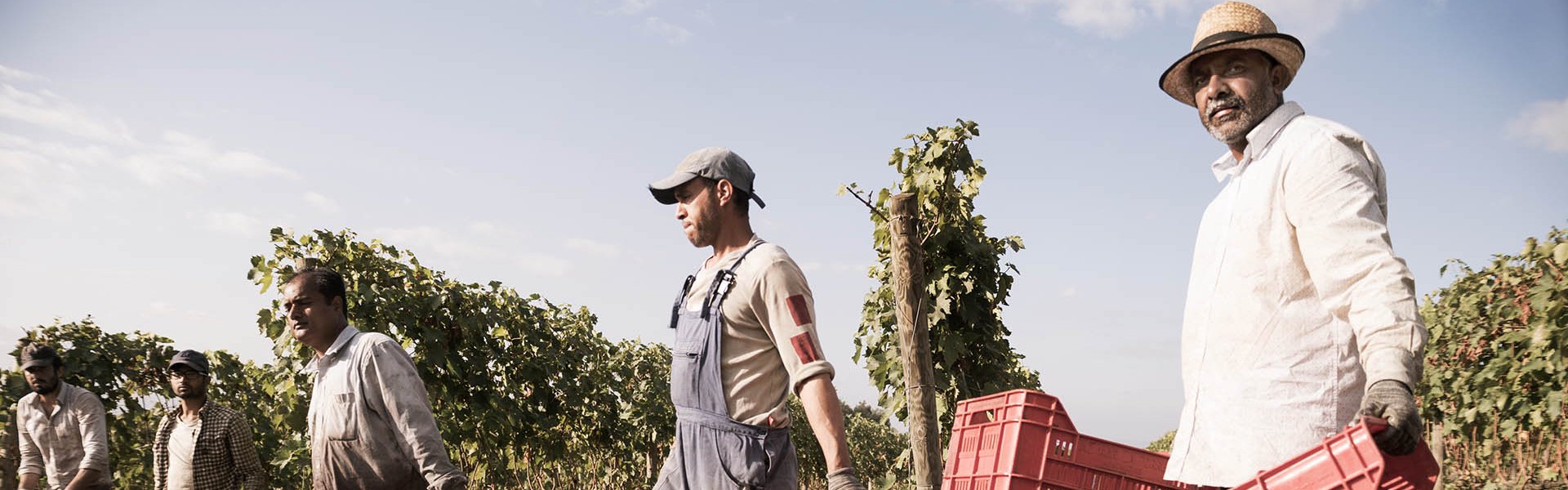 Picture by Giulia Novelli