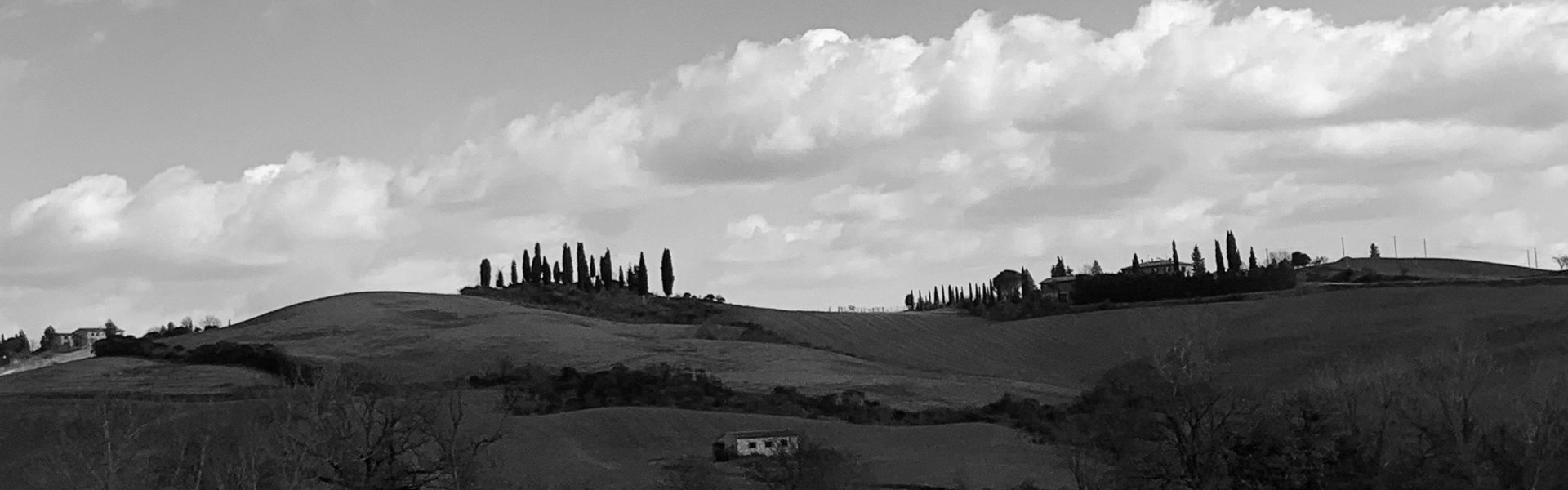 Veduta della Tenuta La Torre