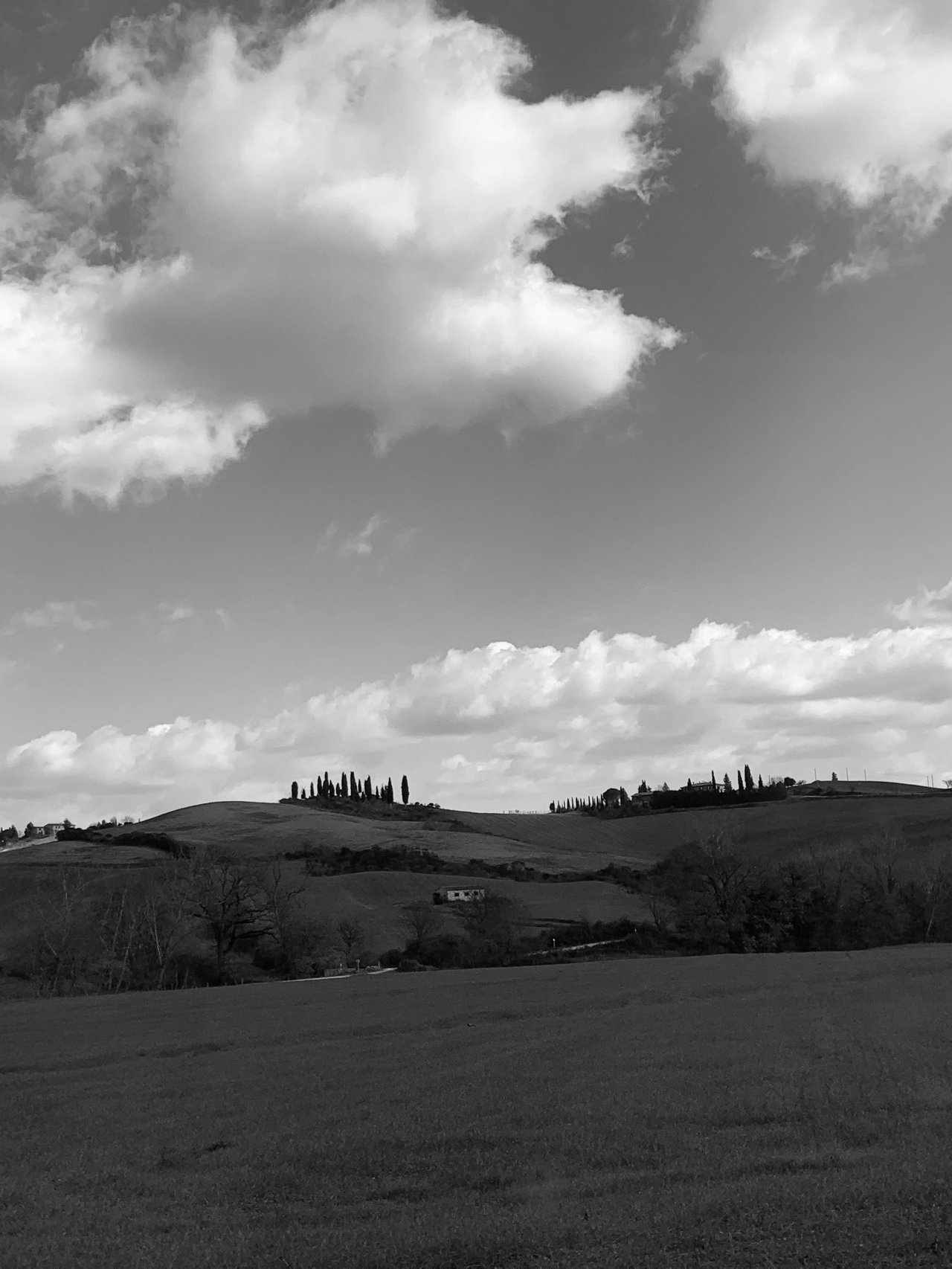 Veduta della Tenuta La Torre